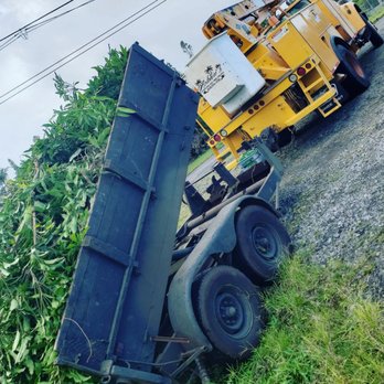 Ashton's Landscape & Tree Service - Dump trailer - Tree Services Near Me