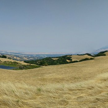 Briones Regional Park - Parks Near Me - Martinez, California Briones Regional Park - Parks Near Me - Martinez, California