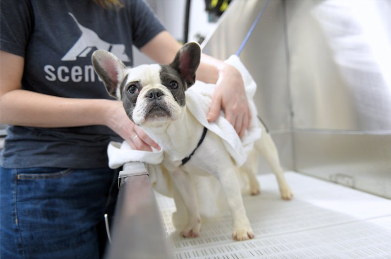 SCENTHOUND Updated September 2024 30 Photos & 58 Reviews 1100 N