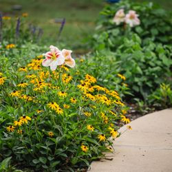 Located on 22 beautifully landscaped acres, we boast flower lined walking paths and amazing gardens.