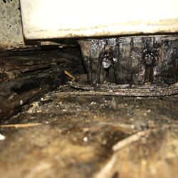 Logan’s 911 Handyman Service – Temp. CLOSED