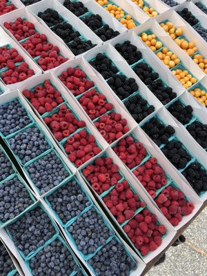 Sherman Oaks Farmers Market by null