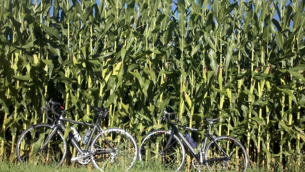 Social spots from Northampton Bicycle