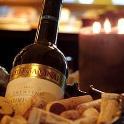 Sagrantino