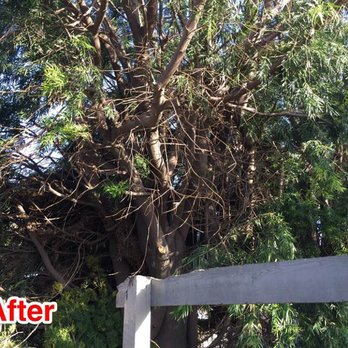 Jimmie's Tree Service - Tree Services Near Me Jimmie's Tree Service - Tree Services Near Me