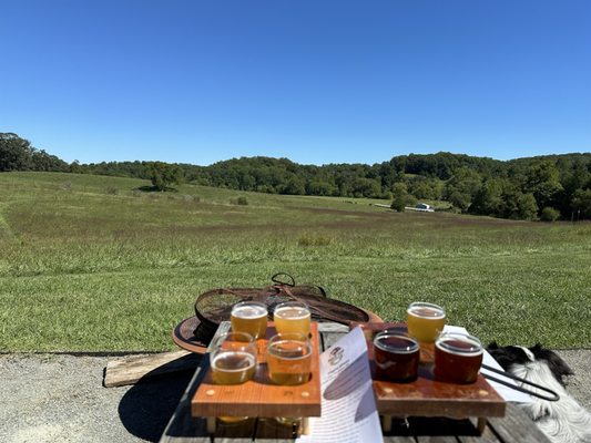 Bald Top Brewing Co. by null