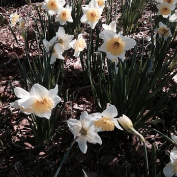 Chesapeake Arboretum - Parks Near Me - Chesapeake, Virginia