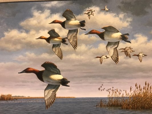 Atlantic Wildfowl Heritage Museum by null