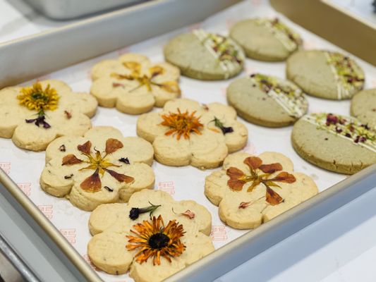 Hi Bakery (Healthy Indulgence) by null