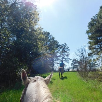 Roselake Ranch - trail ride - Horseback Riding Near Me - Garrison, Texas