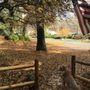 Photo of The Joint On 6