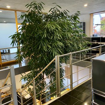 Citybau Wohnbaugesellschaft mbH - Unser Unternehmen - Apartments Near Me - Deizisau, BW Citybau Wohnbaugesellschaft mbH - Unser Unternehmen - Apartments Near Me - Deizisau, BW