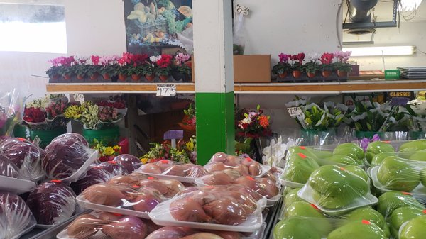 Bloor Fruit Market by null