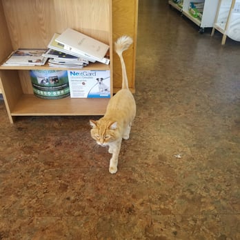 family friends pet hospital