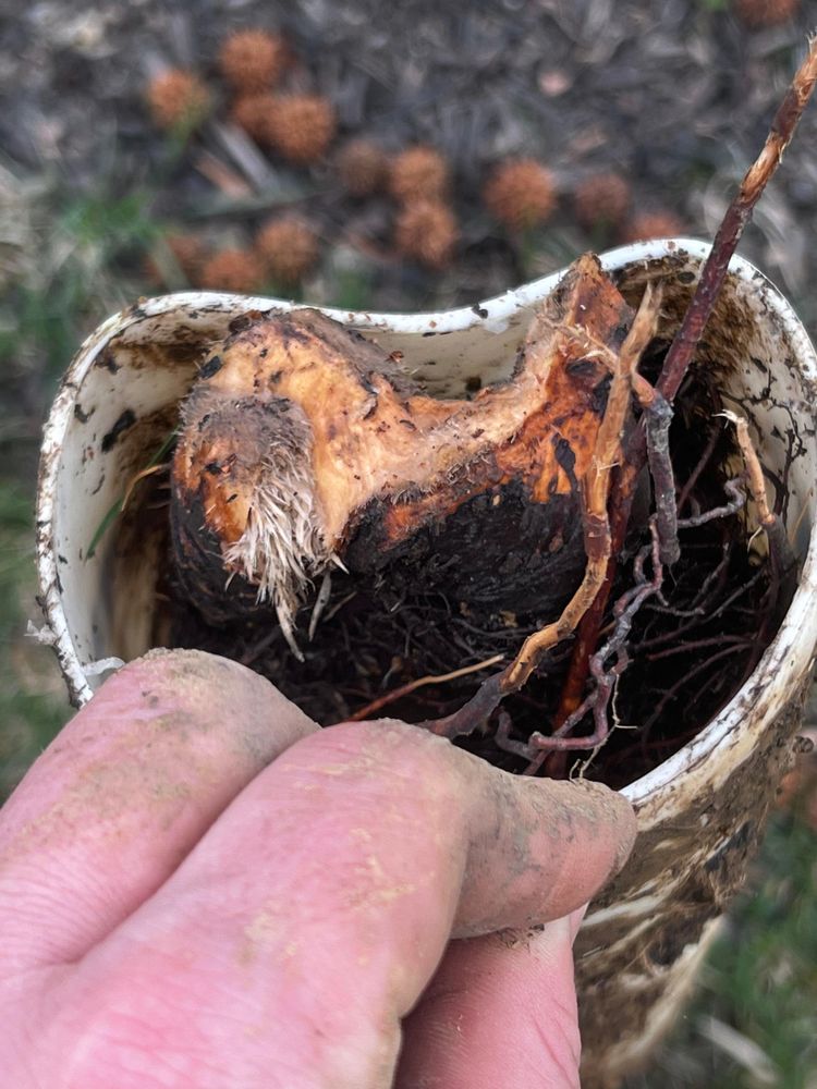 Slide of Rannebarger Home Maintenance