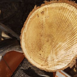 A piece of wet wood from my five chords