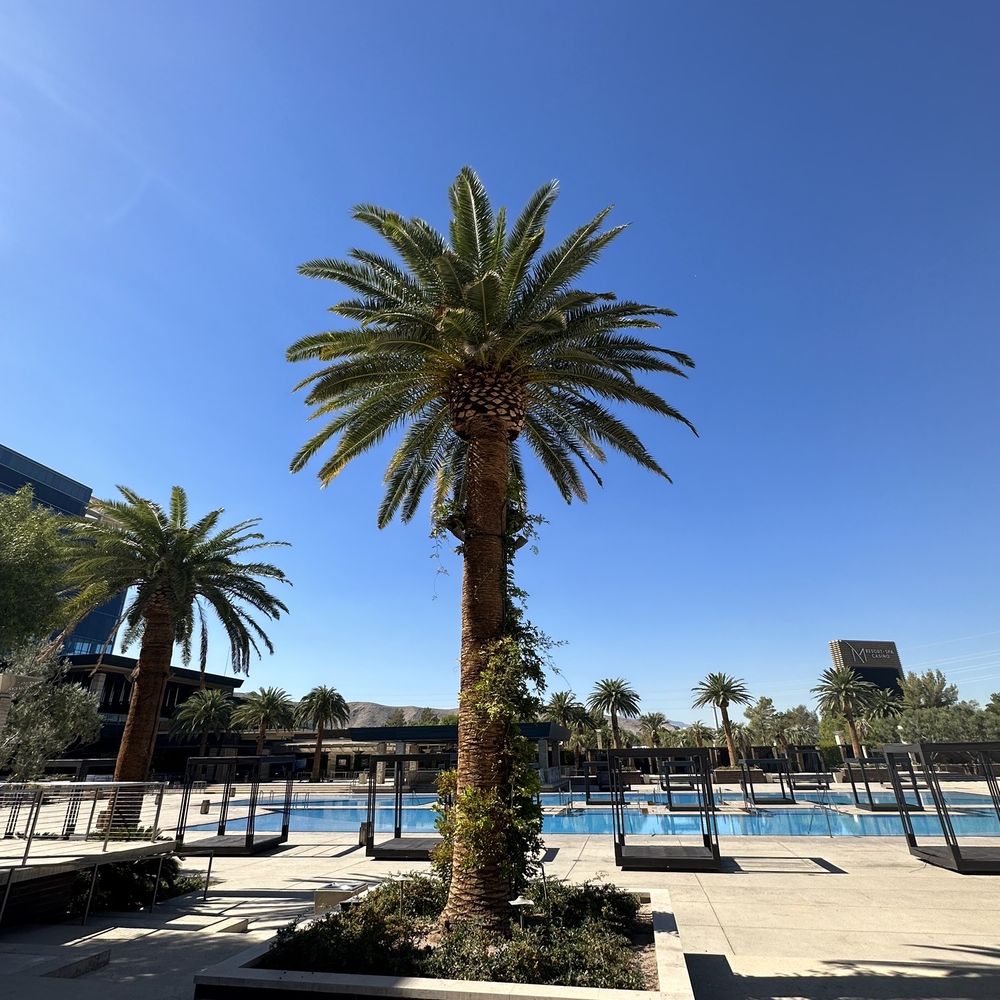 M Resort - Hotels Near Me - Henderson, Nevada M Resort - Hotels Near Me - Henderson, Nevada