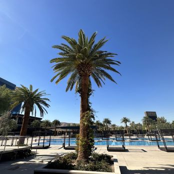 M Resort - Hotels Near Me - Henderson, Nevada M Resort - Hotels Near Me - Henderson, Nevada