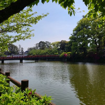 Odawara Castle by null