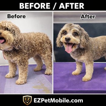 Ez Pet Mobile - Pet Groomers Near Me - Sunnyvale, California Ez Pet Mobile - Pet Groomers Near Me - Sunnyvale, California