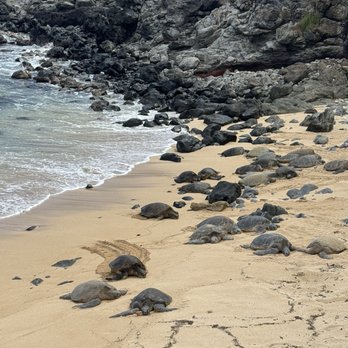 Hookipa Beach Park - Parks Near Me - Paia, Hawaii