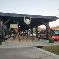 Disney's Animal Kingdom Bus Transportation - Animal Kingdom Bus Station