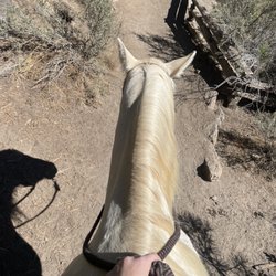 Wilderness Horse Adventures