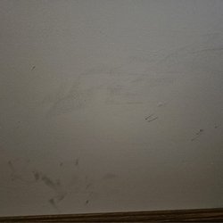 Scheid Plumbing Heating & Cooling - My Painter's Photo of marring of freshly painted wall, readied to be put on market.