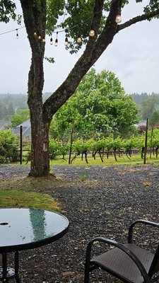 Springhill Cellars Winery (Open May-December) by null
