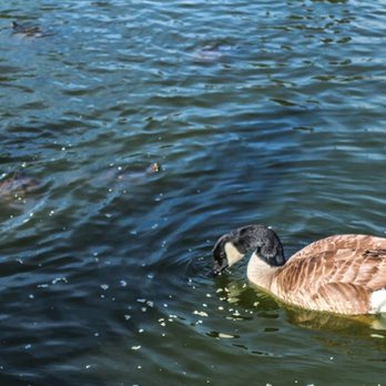 Almansor Park - Parks Near Me - Alhambra, California Almansor Park - Parks Near Me - Alhambra, California