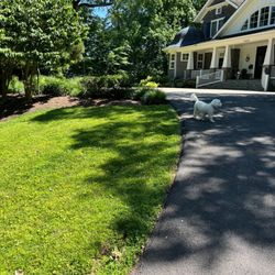 D a R Landscaping - Lawn work by DAR.