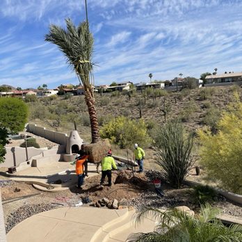 Moon Valley Nurseries - Nurseries & Gardening Near Me - Mesa, Arizona