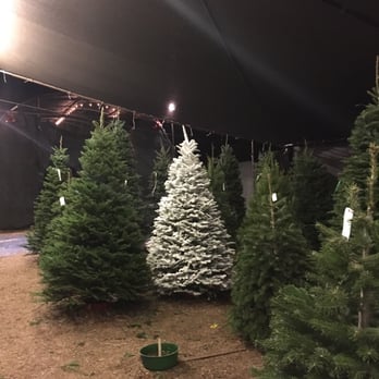 Christmas Ranch Tree Farms - Many varieties of trees with the ability to have them sprayed as well. - Christmas Trees Near Me - Thousand Oaks, California Christmas Ranch Tree Farms - Many varieties of trees with the ability to have them sprayed as well. - Christmas Trees Near Me - Thousand Oaks, California