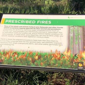 UCF Arboretum - Parks Near Me - Orlando, Florida UCF Arboretum - Parks Near Me - Orlando, Florida