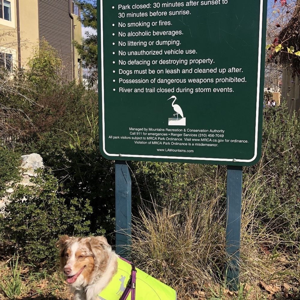 Lewis MacAdams Riverfront Park - 2.13.20 - Parks Near Me - Los Angeles, California