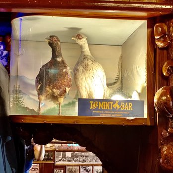The Mint Bar - two ducks in a glass case - Bars Near Me - Sheridan, Wyoming The Mint Bar - two ducks in a glass case - Bars Near Me - Sheridan, Wyoming