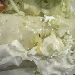 A live bug that crawled out from under my burrito and posted up in the middle.