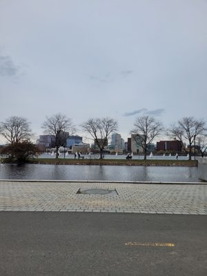 Charles River Esplanade by null