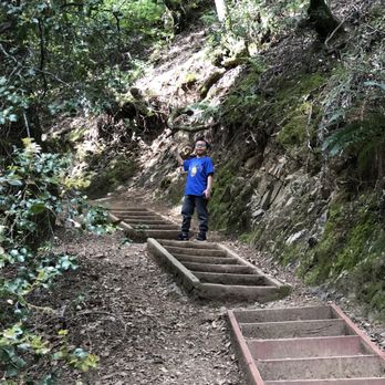 Uvas Canyon County Park - Parks Near Me - Morgan Hill, California