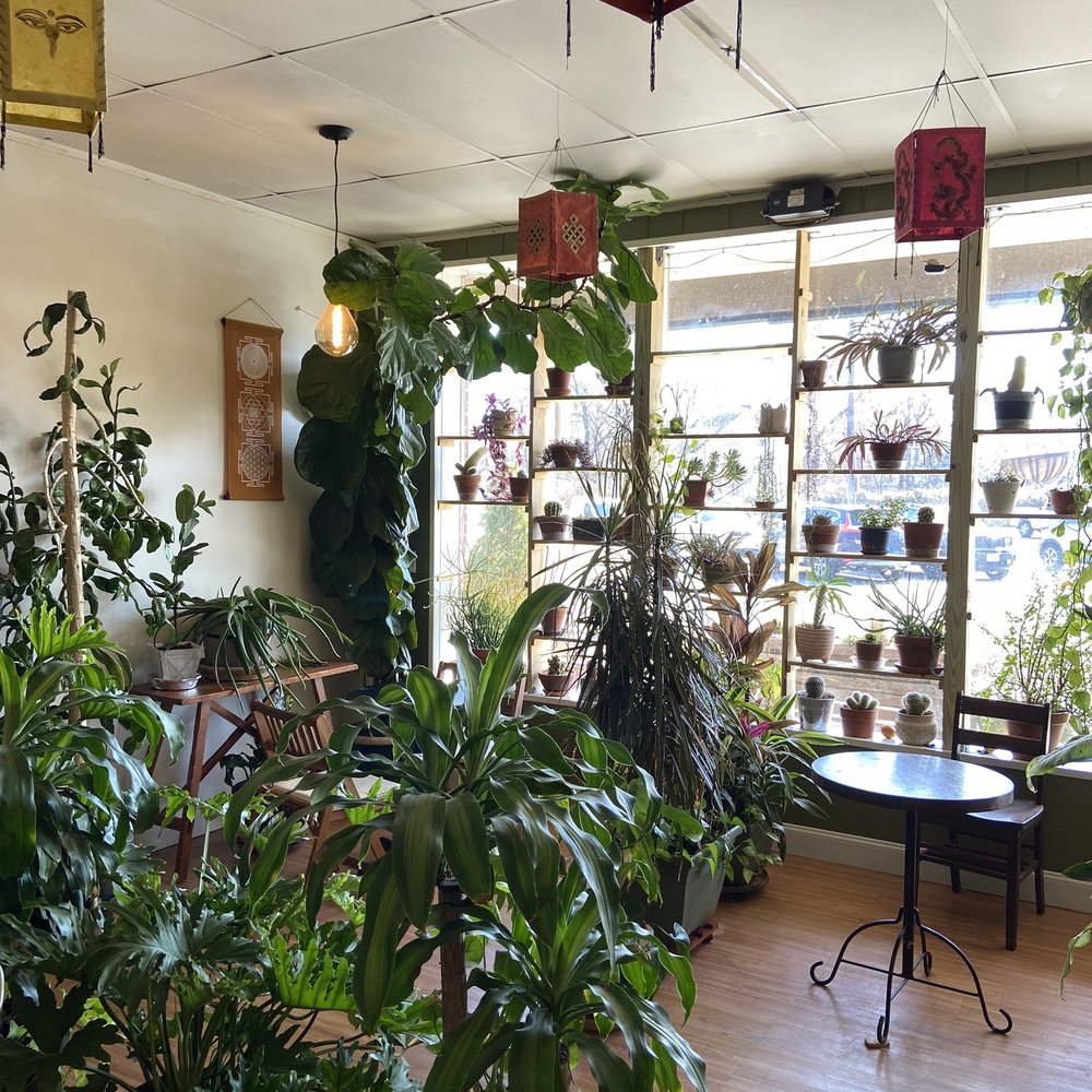 Verdant Cafe - Inside! Super cute and warm space - Comfort Food Near Me - Hi-Nella, New Jersey Verdant Cafe - Inside! Super cute and warm space - Comfort Food Near Me - Hi-Nella, New Jersey