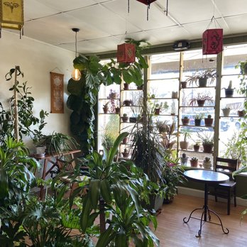 Verdant Cafe - Inside! Super cute and warm space - Comfort Food Near Me - Hi-Nella, New Jersey