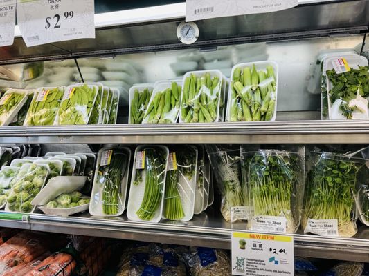 Hashi Market by null