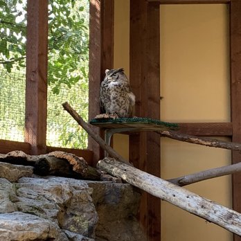 CuriOdyssey - Zoos Near Me - San Mateo, California
