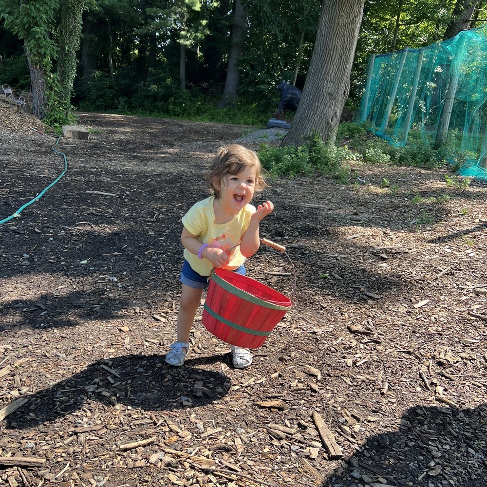 Indian Orchards - Lots of fun helping mommy and daddy! - Pick Your Own Farms Near Me - Media, Pennsylvania Indian Orchards - Lots of fun helping mommy and daddy! - Pick Your Own Farms Near Me - Media, Pennsylvania