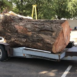 Hayward Tree Service - 12,000lb log we gave to the sawmill.