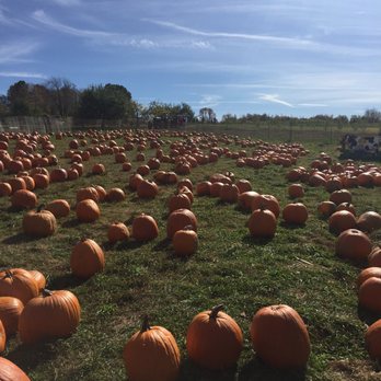 Outhouse Orchards - Fruits & Veggies Near Me - North Salem, New York