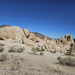 Booking With Elizabeth - White Tank, Joshua Tree National Park, California