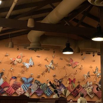 Tiffins Restaurant - Beautiful wall - New American Near Me - Lake Buena Vista, Florida Tiffins Restaurant - Beautiful wall - New American Near Me - Lake Buena Vista, Florida