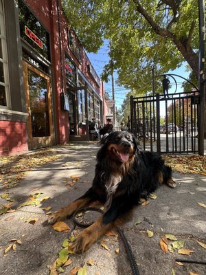 St Mark's Coffee House by null