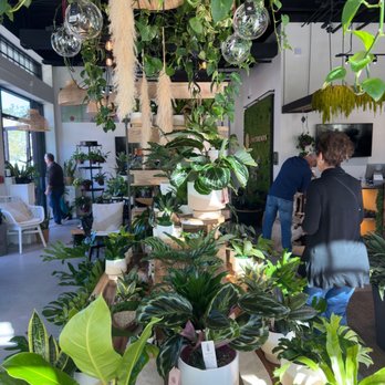 LiveTrends - Even more plants! - Nurseries & Gardening Near Me - Winter Garden, Florida